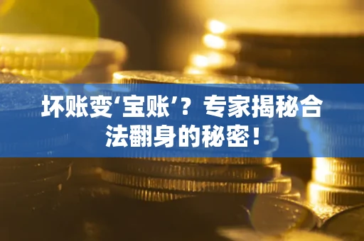 北京坏账变‘宝账’？专家揭秘合法翻身的秘密！