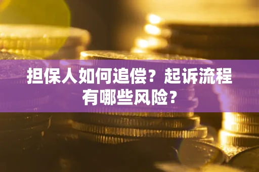 北京担保人如何追偿？起诉流程有哪些风险？