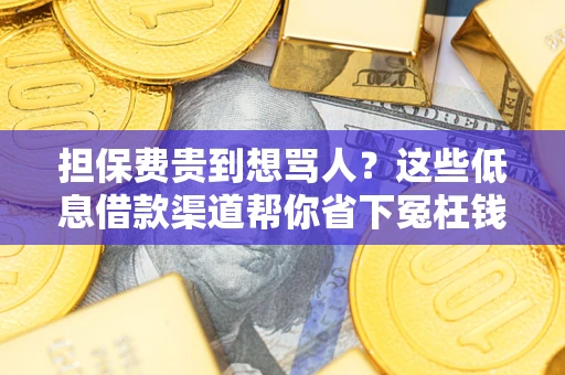 北京担保费贵到想骂人？这些低息借款渠道帮你省下冤枉钱