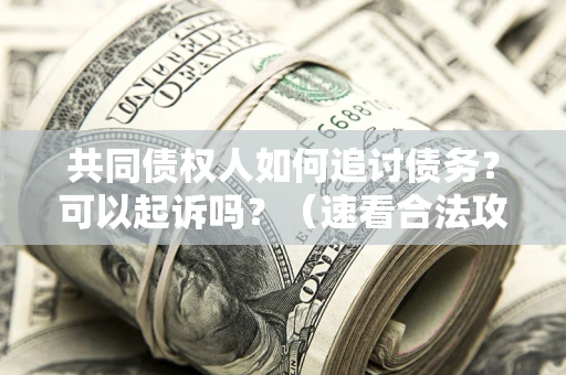 北京共同债权人如何追讨债务？可以起诉吗？（速看合法攻略）