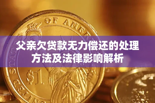 北京父亲欠贷款无力偿还的处理方法及法律影响解析